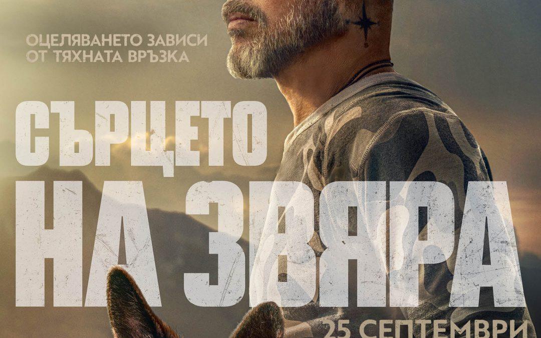 Сърцето на звяра